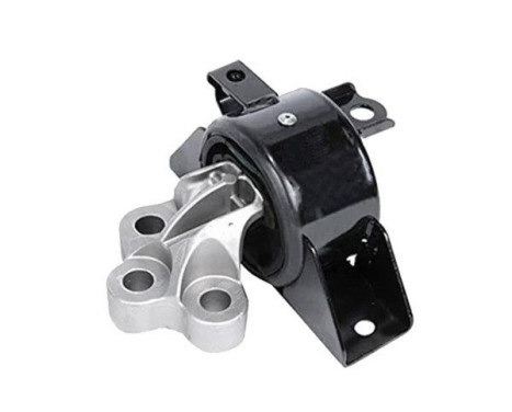 Shaft body/motor mount bearing