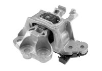 Shaft body/motor mount bearing