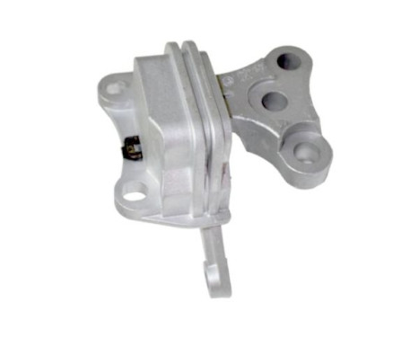 Shaft body/motor mount bearing
