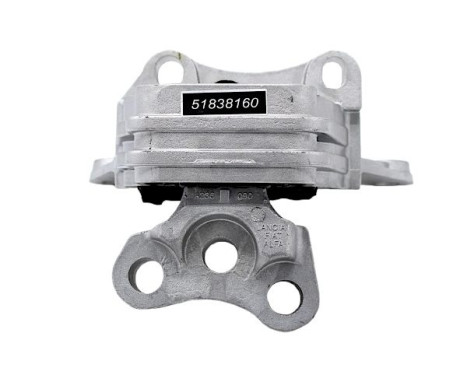Shaft body/motor mount bearing