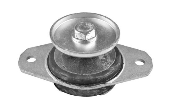 Shaft body/motor mount bearing