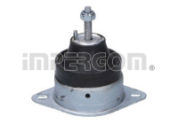 Shaft body/motor mount bearing