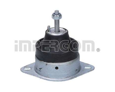 Shaft body/motor mount bearing