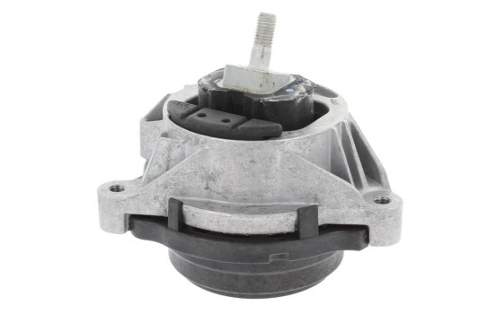 Shaft body/motor mount bearing
