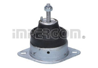 Shaft body/motor mount bearing