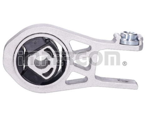 Shaft body/motor mount bearing