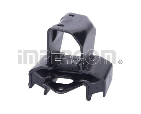 Shaft body/motor mount bearing