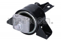 Axle Body/Engine Mount Bearing