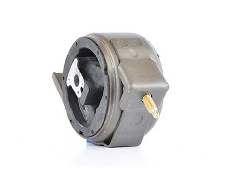 Axle Body/Engine Mount Bearing