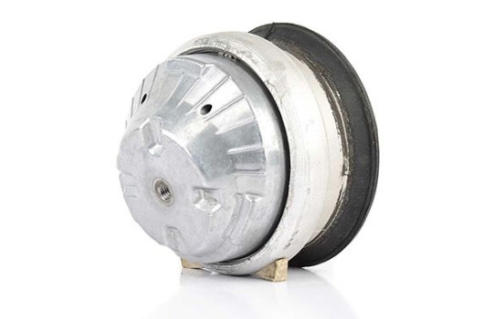 Axle Body/Engine Mount Bearing, Image 2