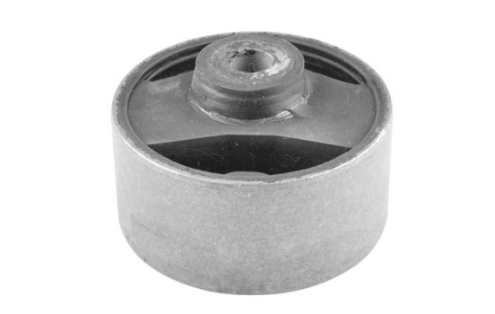 Axle Body/Engine Mount Bearing