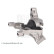 Axle body/engine support bearing ADBP800810 Blue Print, Thumbnail 2