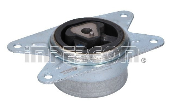 Axle body/engine support bearing