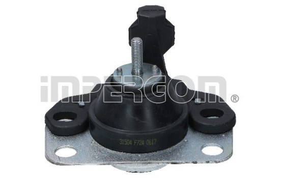 Axle body/engine support bearing