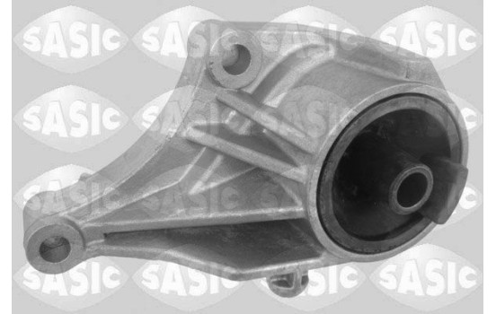 Axle body/engine support bearing