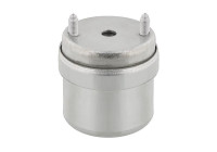 Axle body/engine support bearing