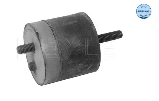 Axle body/motor support bearing 300 118 1100 Meyle