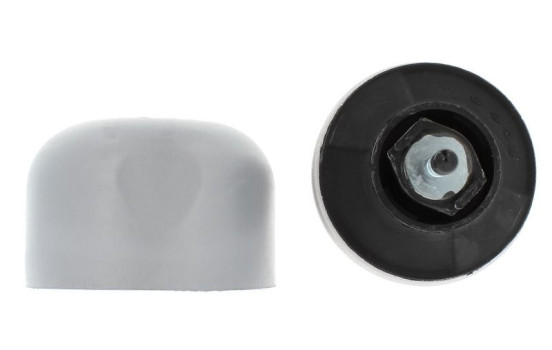 Axle body/motor support bearing