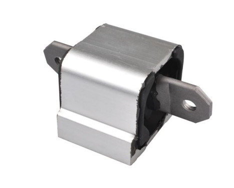 Axle body/motor support bearing