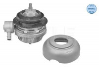 Engine Montage MEYLE-ORIGINAL: True to OE. 100 199 3170