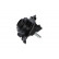 Engine Mount EEM-2001 Kavo parts, Thumbnail 3