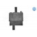 Engine Mount MEYLE-ORIGINAL Quality 300 118 1102, Thumbnail 3
