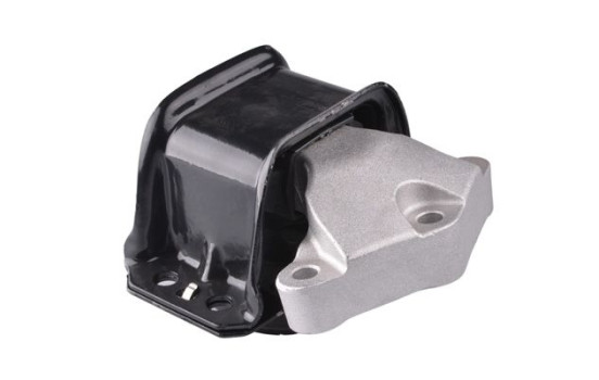Shaft body/motor mount bearing