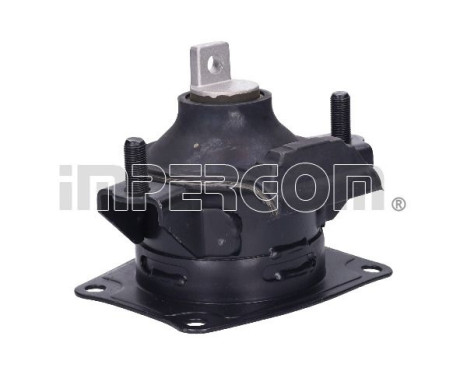 Shaft body/motor mount bearing