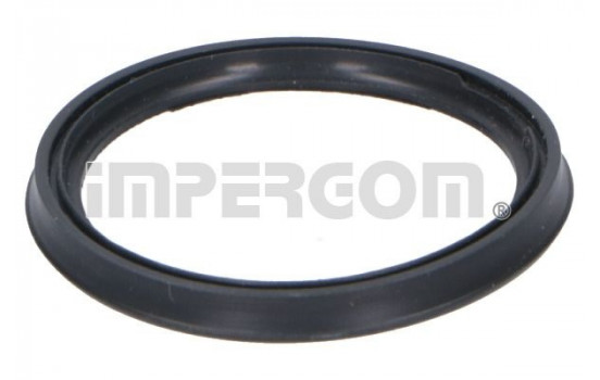 Seal ring, charge air hose
