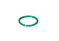 Sealing ring, charge air hose