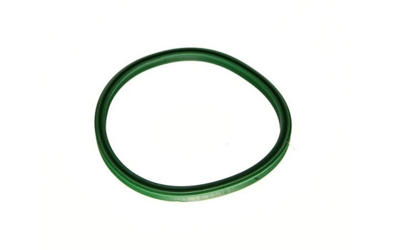 Sealing ring, charge air hose