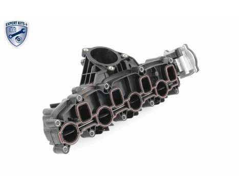 Intake Manifold Module EXPERT KITS +, Image 13