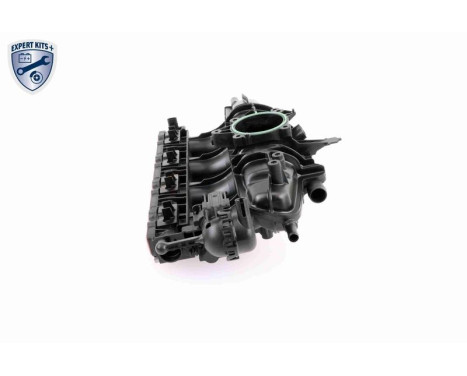 Intake Manifold Module EXPERT KITS +, Image 8