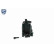 Intake Manifold Module EXPERT KITS +, Thumbnail 8