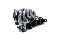 Intake Manifold Module