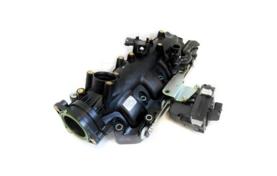 Intake Manifold Module