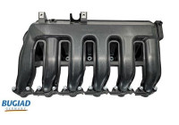 Intake manifold
