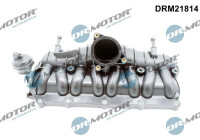 Intake manifold