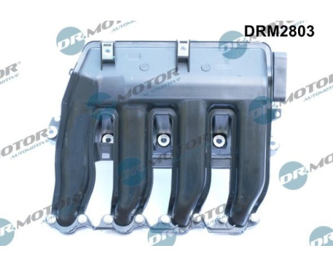 Intake manifold