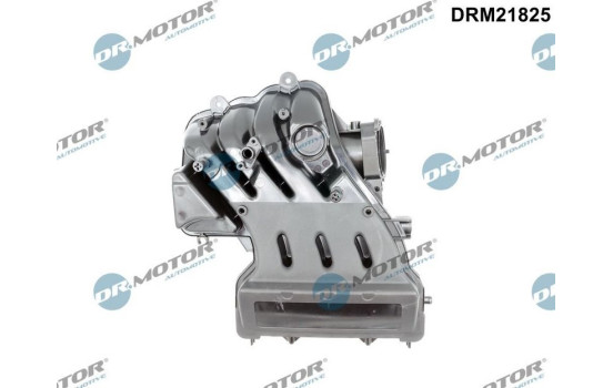 Intake manifold