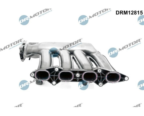 Intake manifold