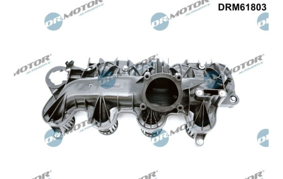 Intake manifold