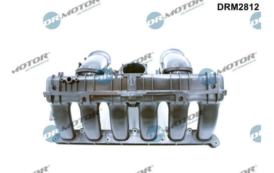 Intake manifold