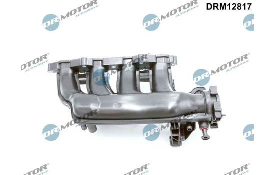 Intake manifold
