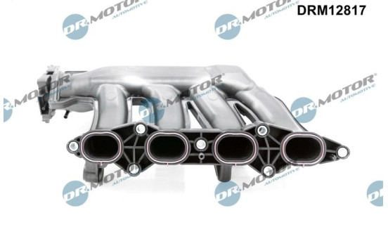 Intake manifold, Image 2
