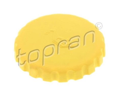 Cap, oil filler opening