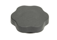 Cap, oil filler opening