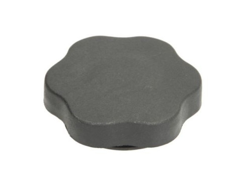 Cap, oil filler opening