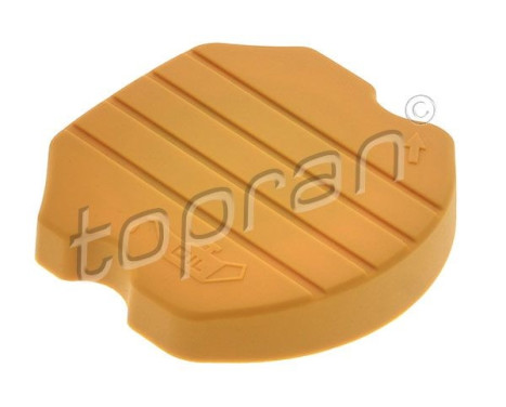 Sealing Cap, oil filling port