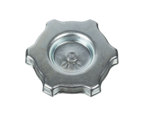 Sealing Cap, oil filling port